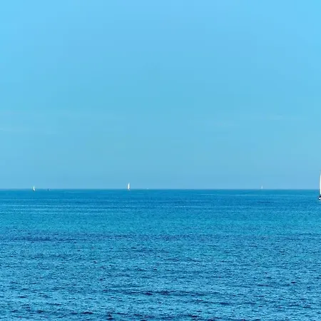 Nuevo Mar Azul *
